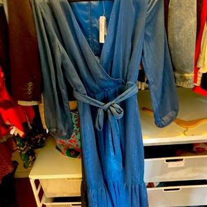 Beautiful Shimmery Blur Dress